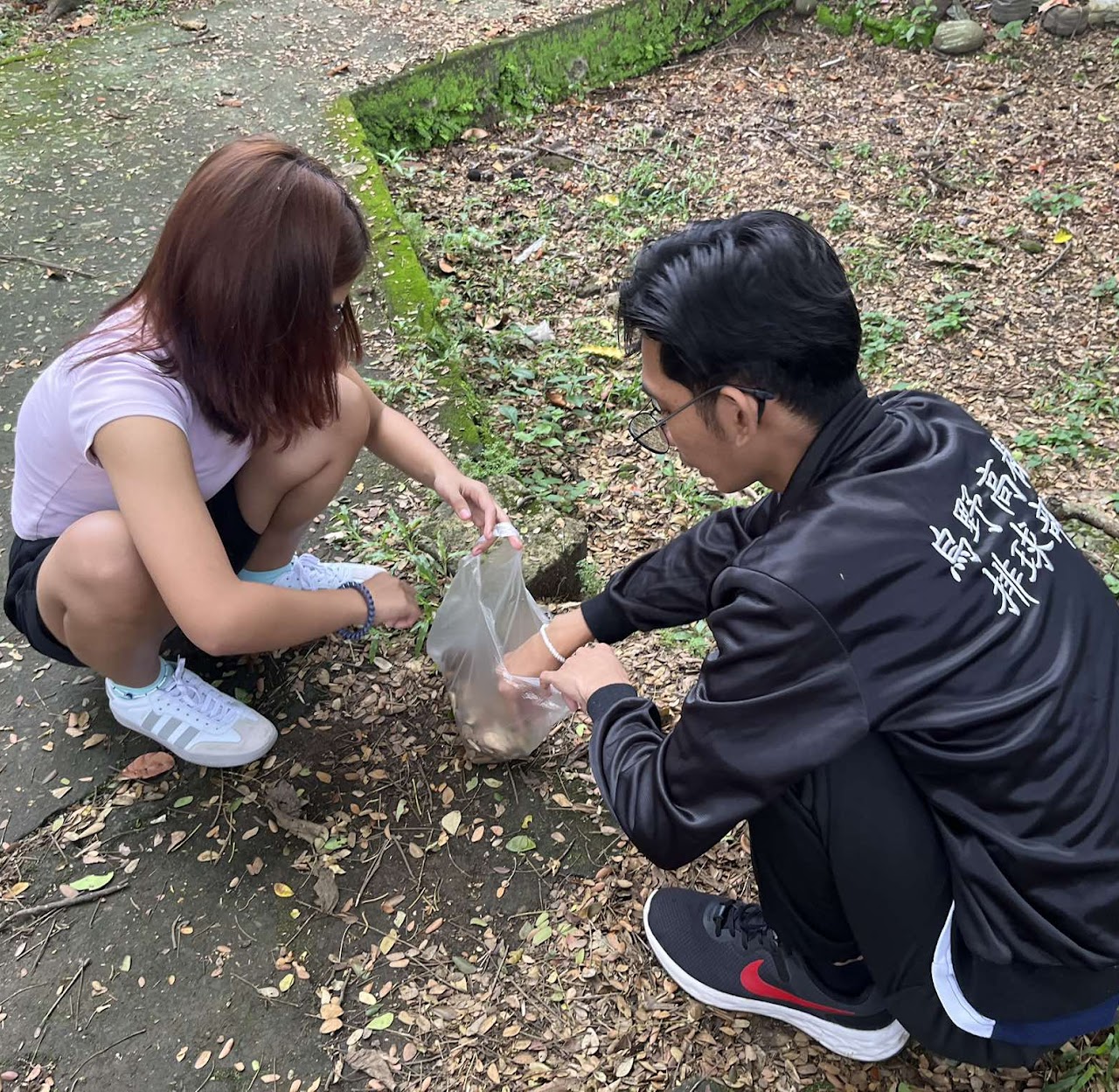 Dry leaves used for making eco-friendly paper